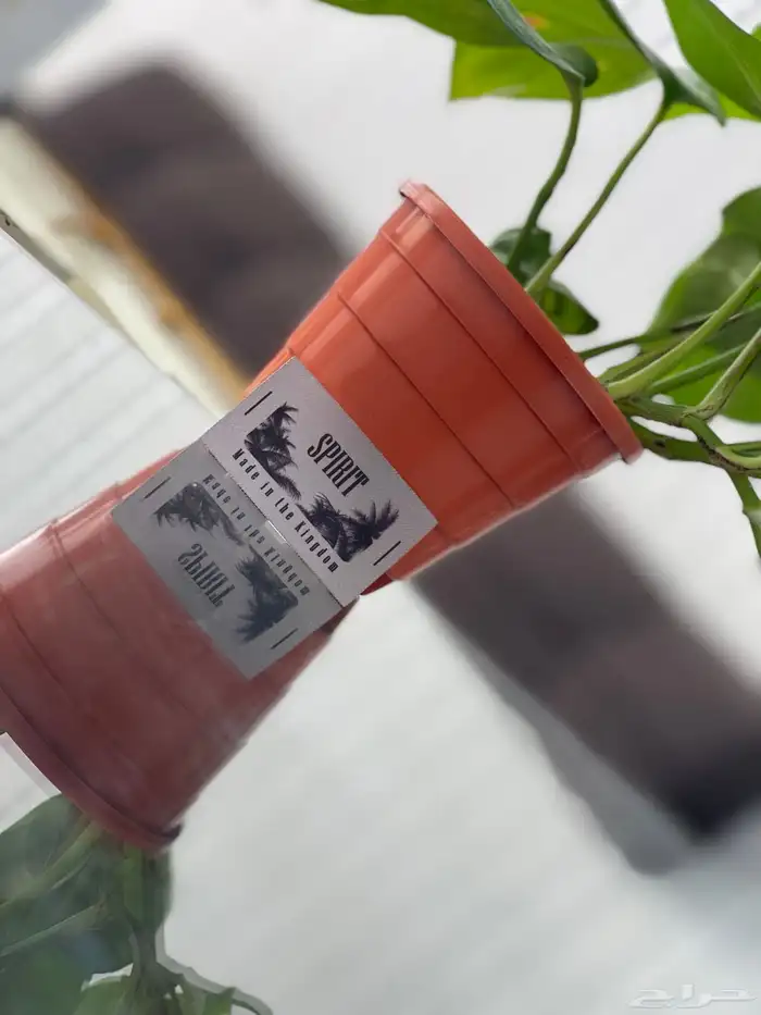 مطبعة مطابع طباعة كروت شخصية فواتير سندات عقود اختام استيكر 5