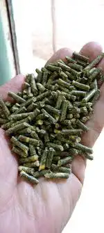 اكل غزلان ارانب وبر هومستر 1