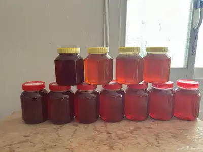 عسل سدر بلدي انتاج جديد للبيع 0