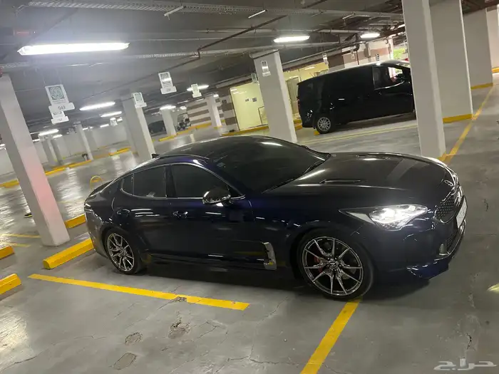 Stinger 2019 18