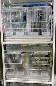 قفص شبك 601 و 610 و 600 قفص تغريد 10