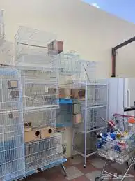 قفص شبك 601 و 610 و 600 قفص تغريد 2