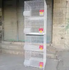 قفص شبك 601 و 610 و 600 قفص تغريد 3