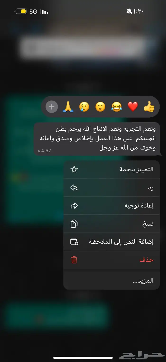 زيت زيتون الجوف جودة عالية 6