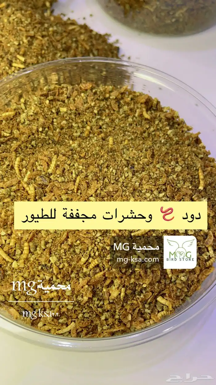 منقوع بقوليات   باتية دود مجفف   املاح ومعادن 3