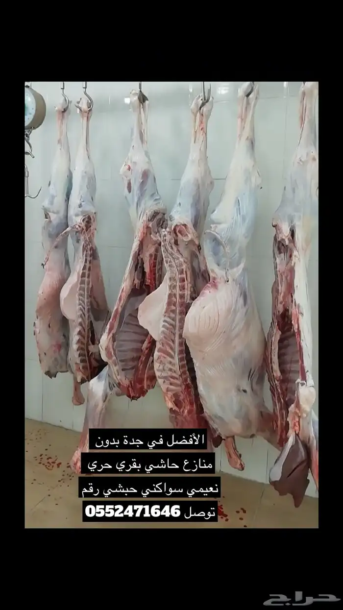 يوجد خرفان وتيوس سواكني وبقري وحاشي لجميع الملاحم والمطاعم 1