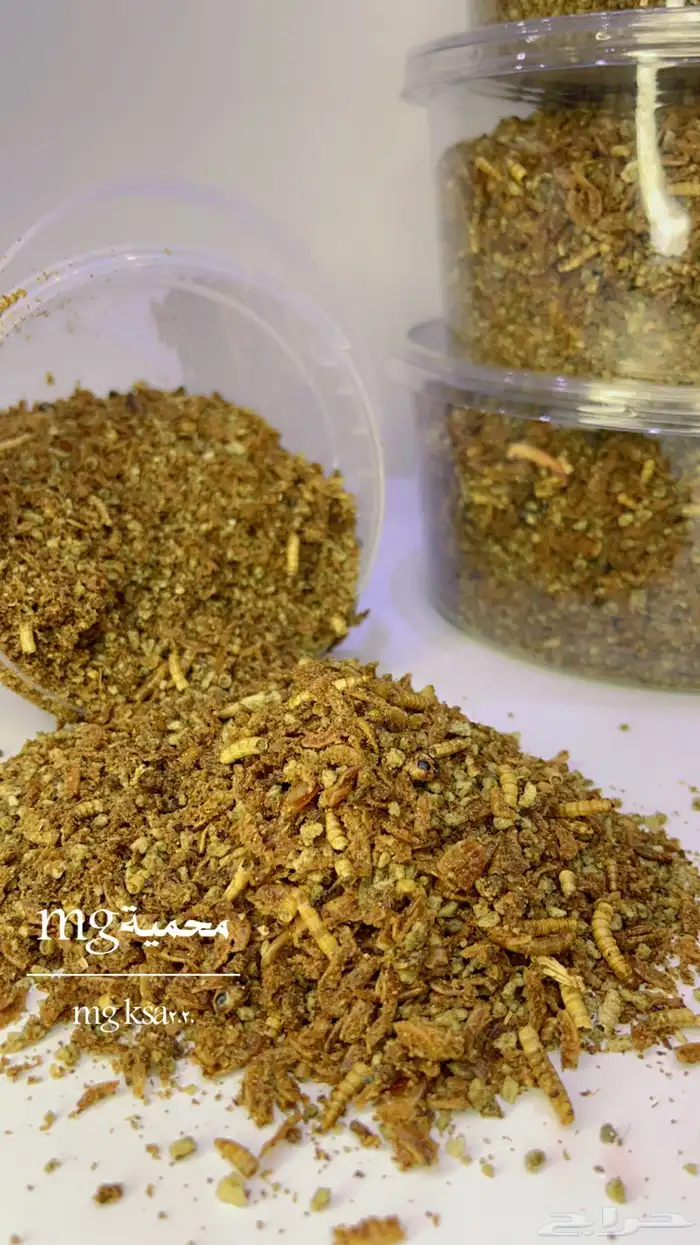 منقوع بقوليات   باتية دود مجفف   املاح ومعادن 0