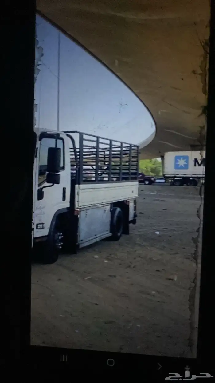 دينه دنا دينا توصيل 0