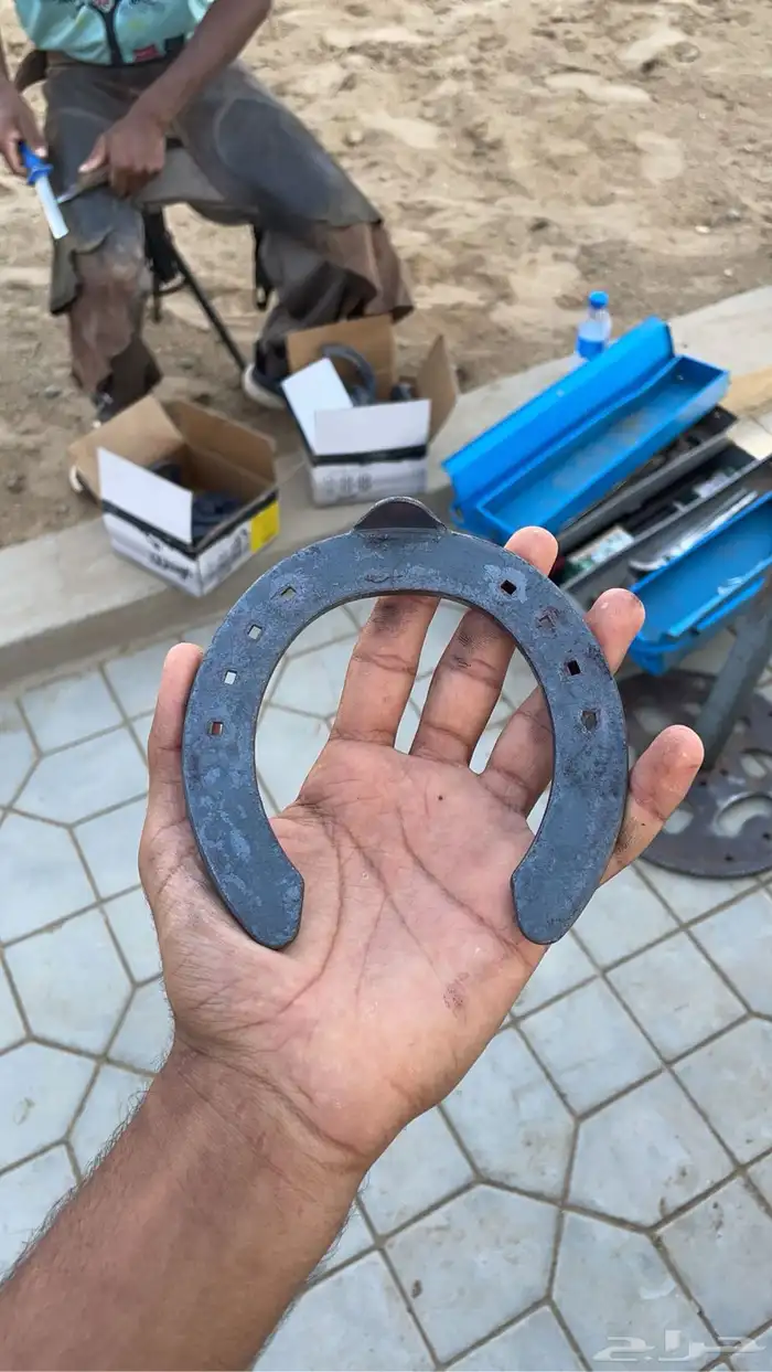 اسطبل سلفا النواريه ايجار غرف خيل 5