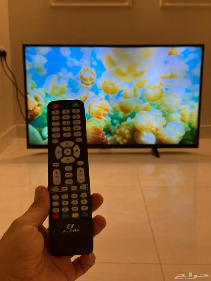 شاشه الفا 50 بوصه 0