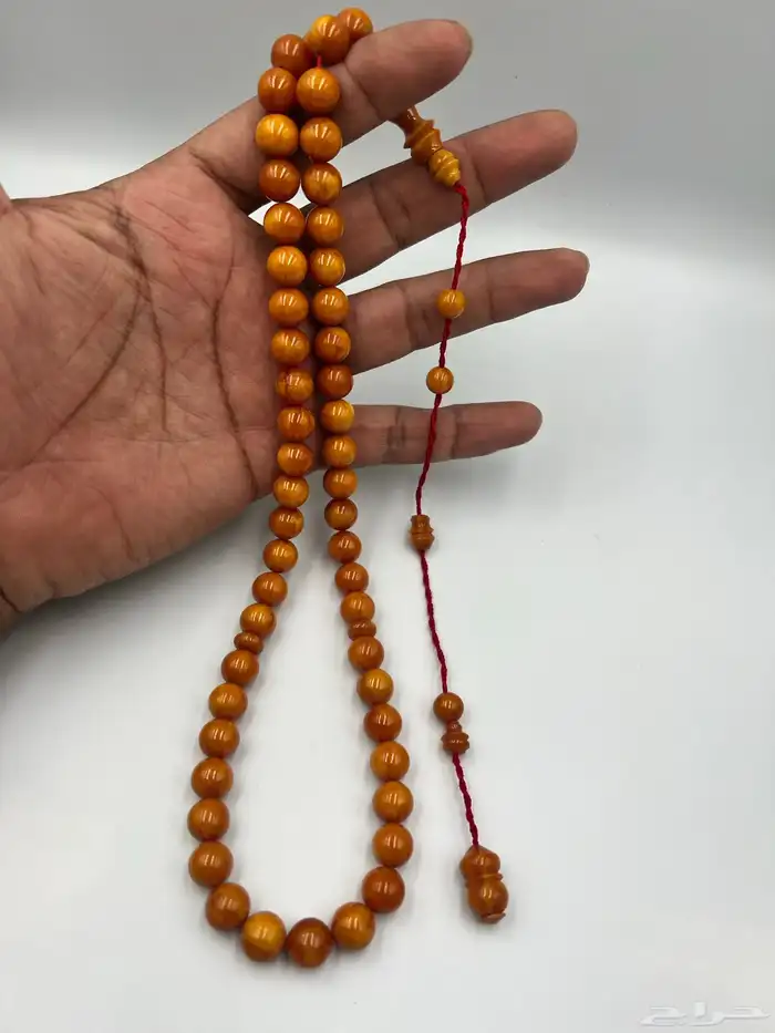 سبح فاتوران و ساندلوس و مسكي 22