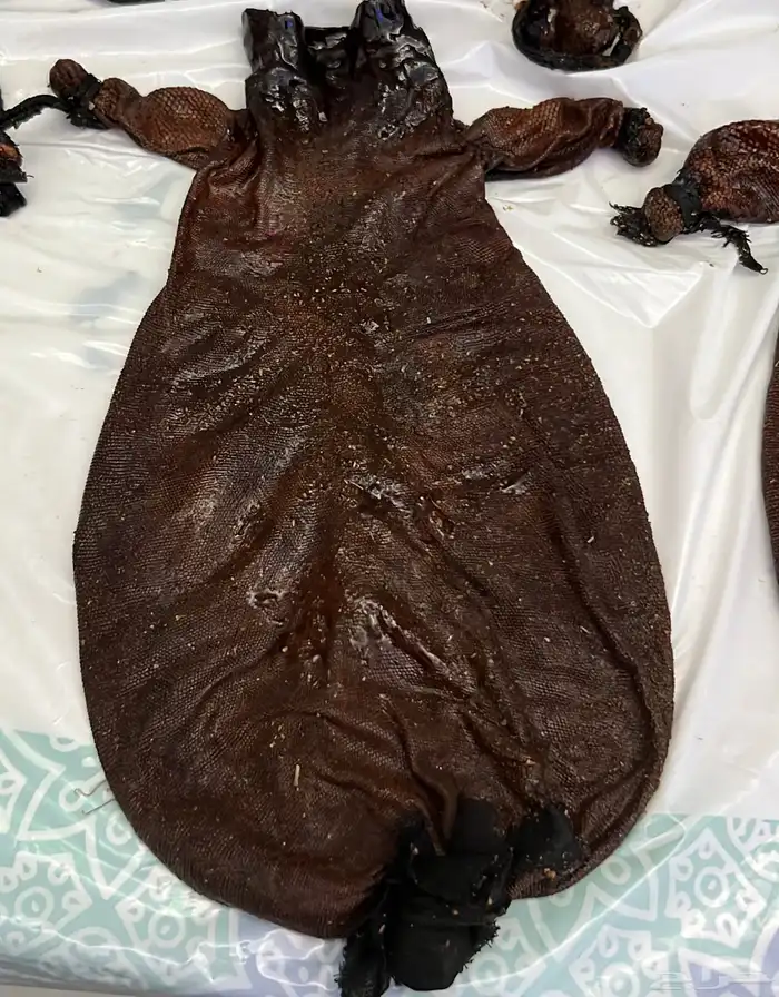 عكاك عسل وسمن 3