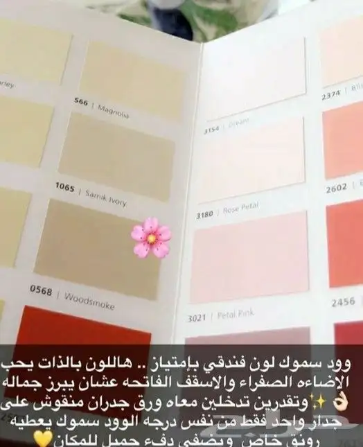 صباغ الظهران الخبر 54