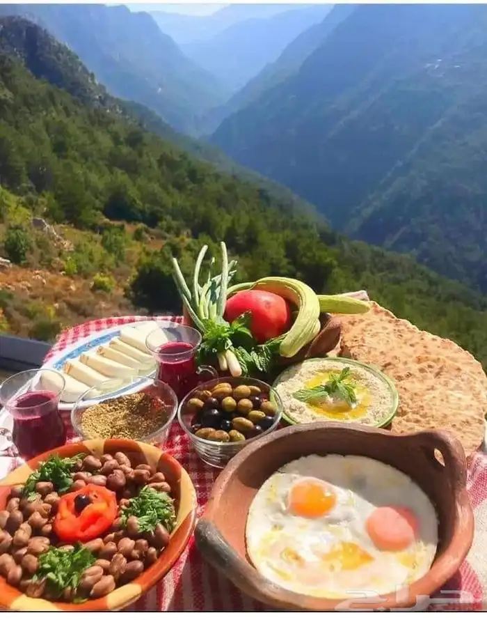 شيف معجنات ومناقيش وبيتزا لبناني وتاسيس محلات وافران 53