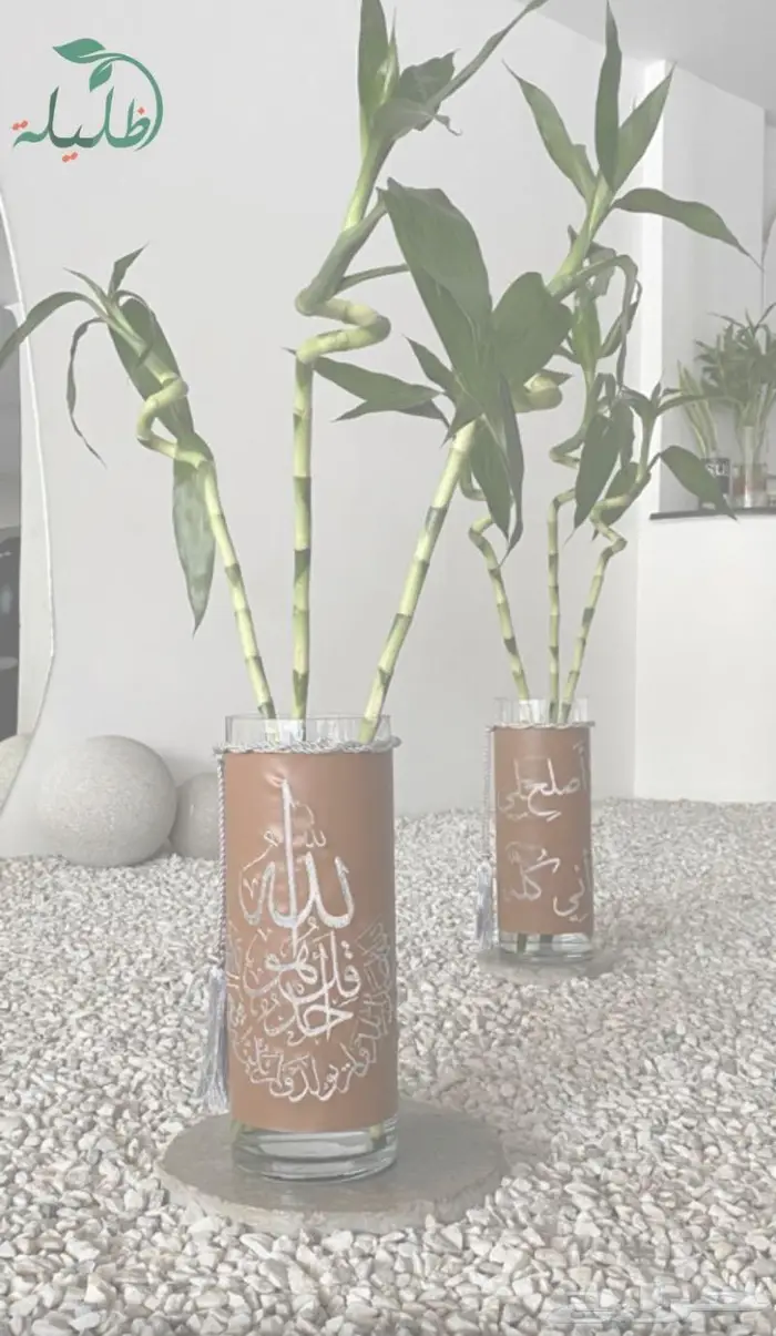 تطريز كابات - يونيفورم - سكربات - أرواب تخرج 26