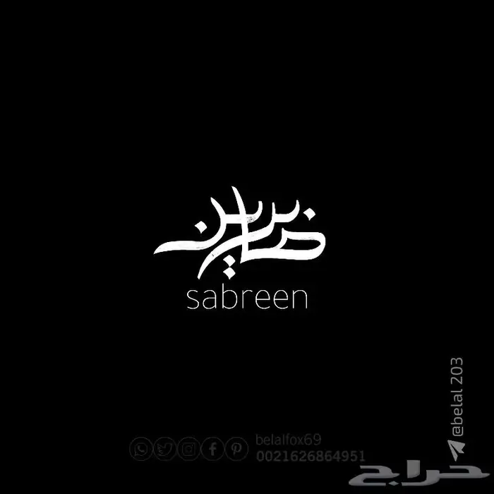شعار  تصميم 13