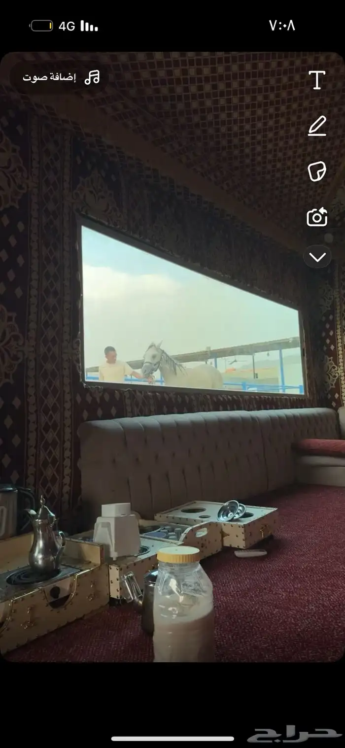 اسطبل سلفا النواريه ايجار غرف خيل 11