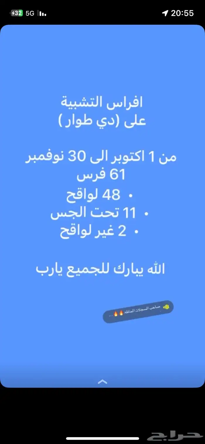 الحصان البطل و المنتج ( دي طوار ) متاح هذا الموسم 11