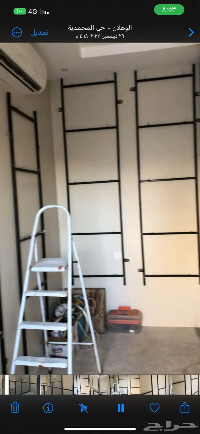 شبك طيور مع بياضات 1