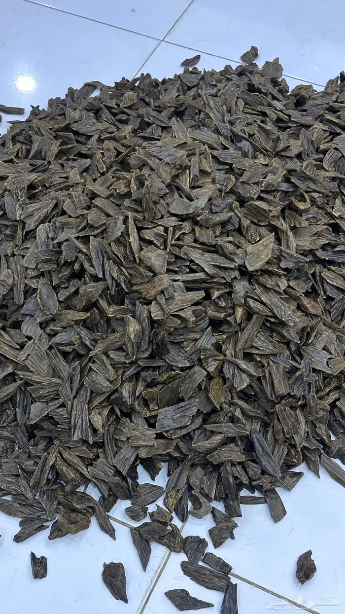 عود فيتنامي 2