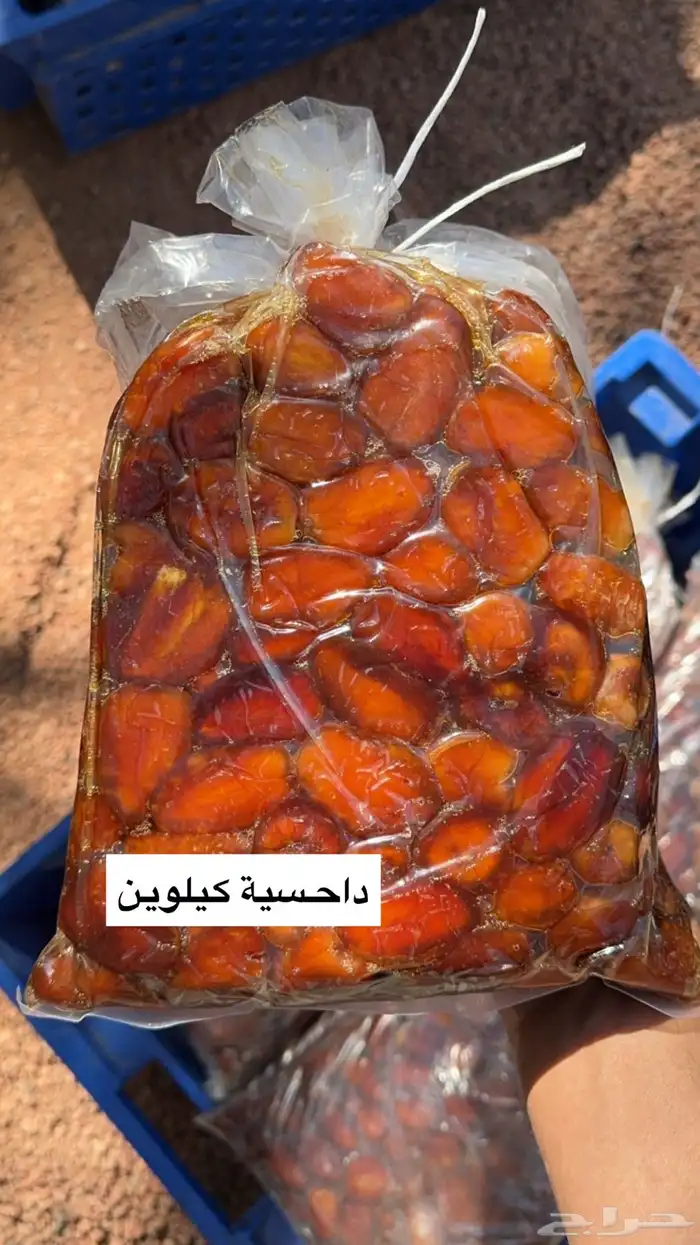 تمر حايل الفاخر شرط نظيف وتعبئة نظيفة 11