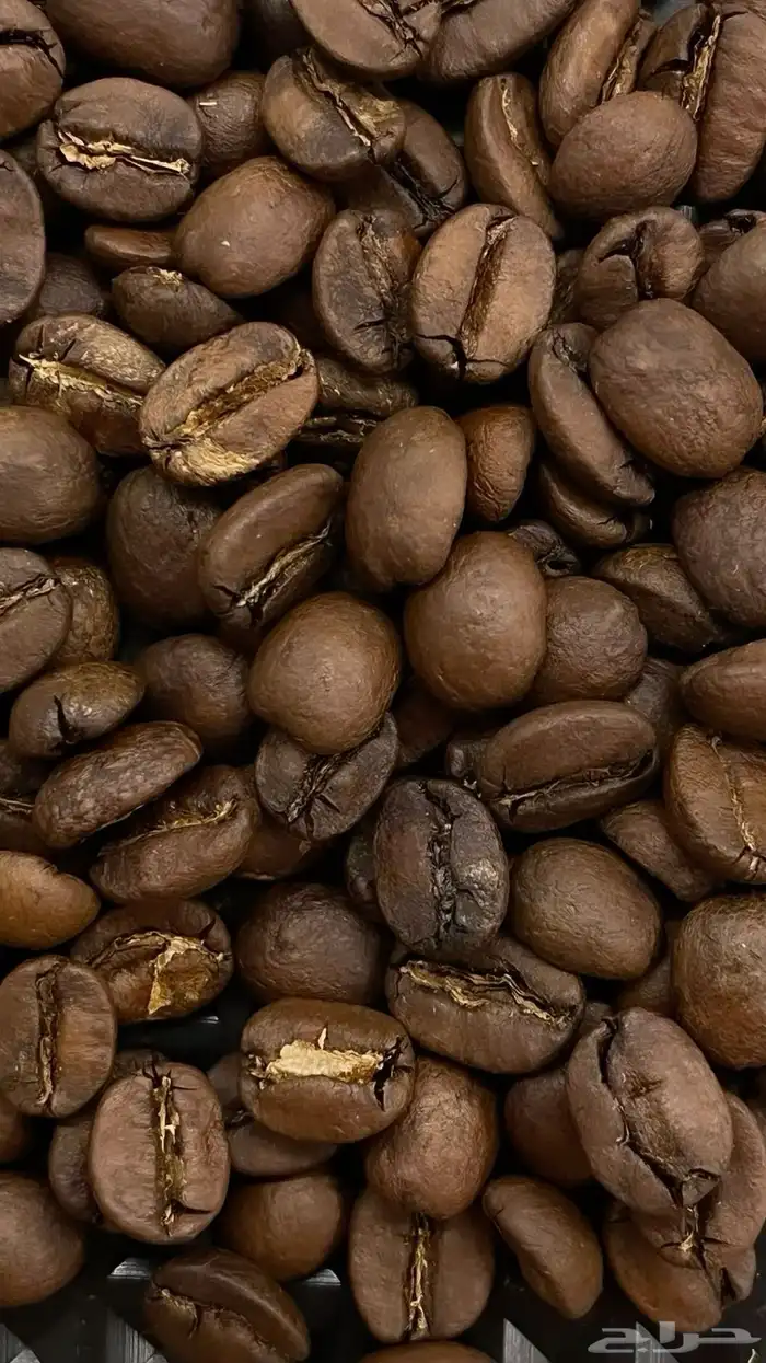 قهوة سعودية محمصة وخلطة قهوة . 12