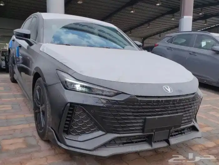 شانجان يونى فى سبورت 2025 1