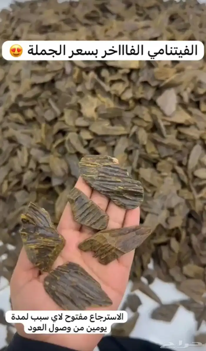 عود فيتنامي 0