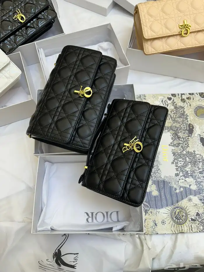 شنط ديور ماستر كوالتي حجمين 5