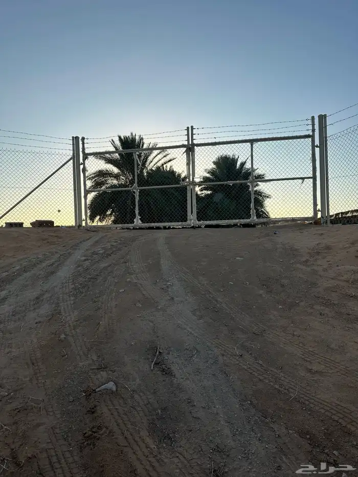 شبوك سياج 0