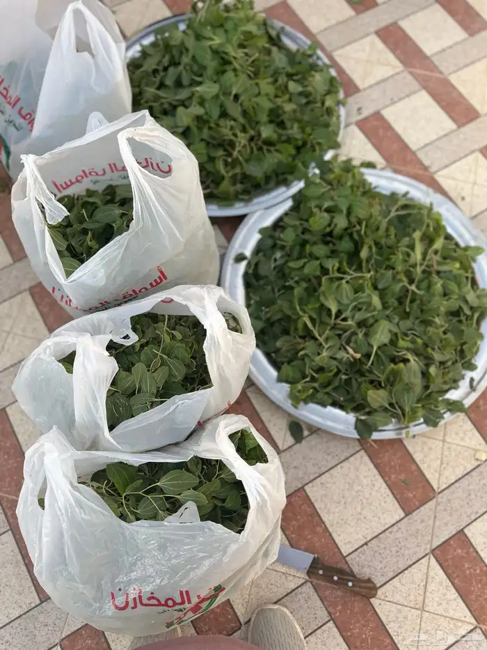 سدر طبيعي عضوي من المزرعه 2