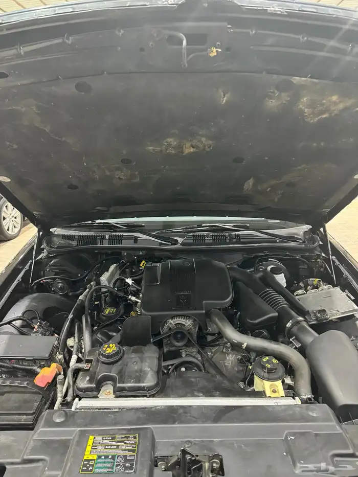 ماركيز 2010 29