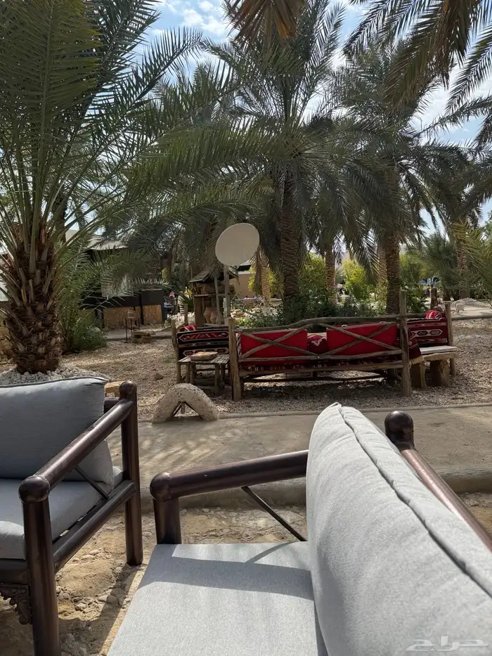كونر سناك كوفي بريك شركة بيع بجملة الجملة لجميع الشركة 7