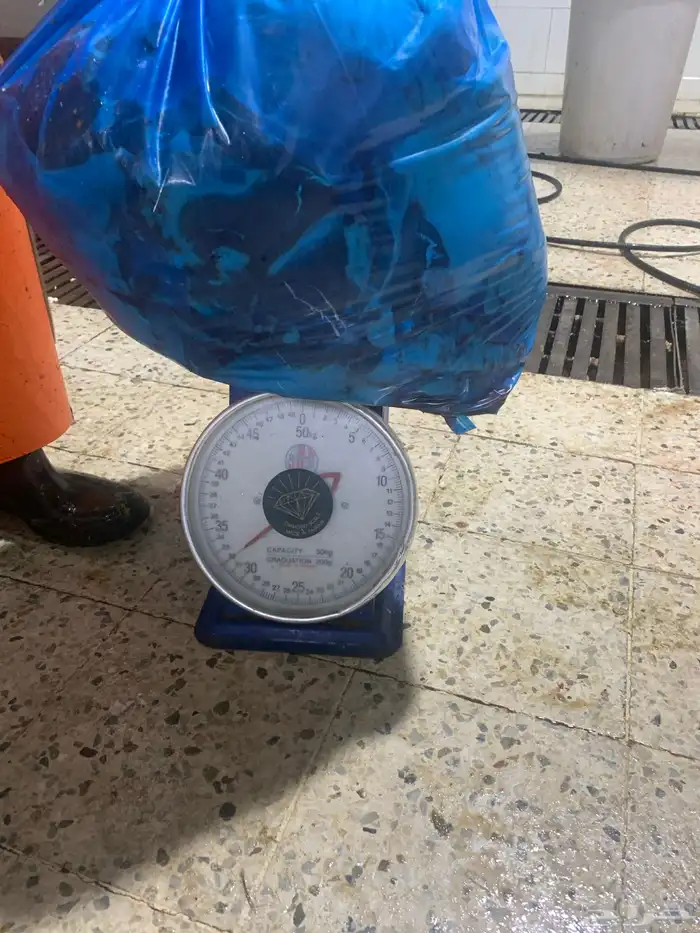 ذبايح لبيتك 23