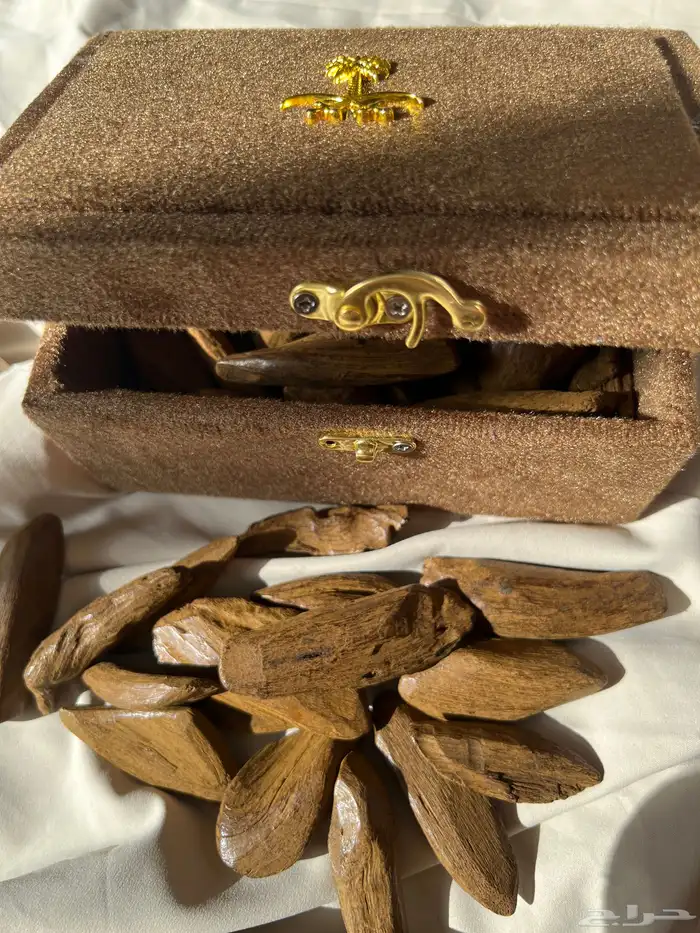 عود مروكي دبل سوبر 1