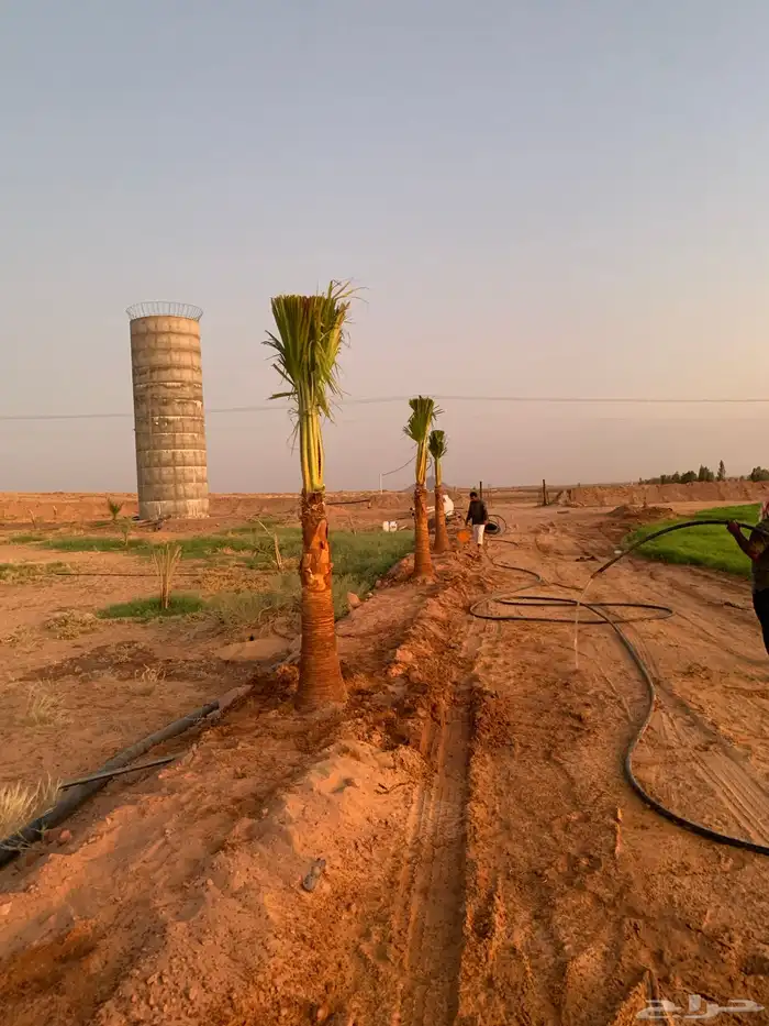 واشنطن زينه أمريكي 6