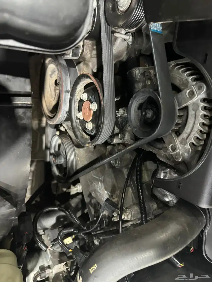 ماركيز 2010 28