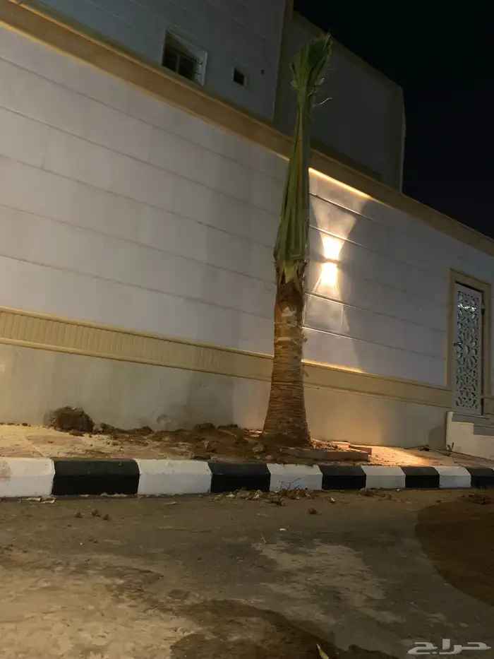 واشنطن زينه أمريكي 3