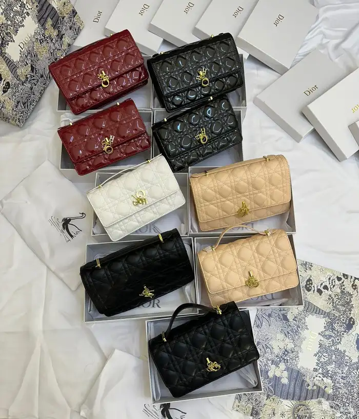 شنط ديور ماستر كوالتي حجمين 0