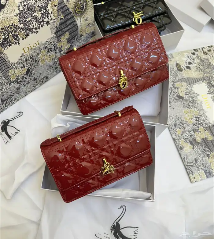 شنط ديور ماستر كوالتي حجمين 17