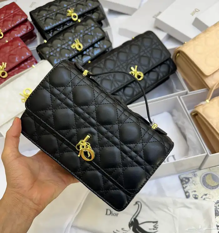 شنط ديور ماستر كوالتي حجمين 4