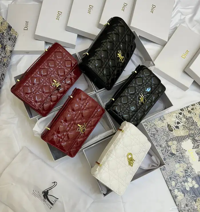 شنط ديور ماستر كوالتي حجمين 11