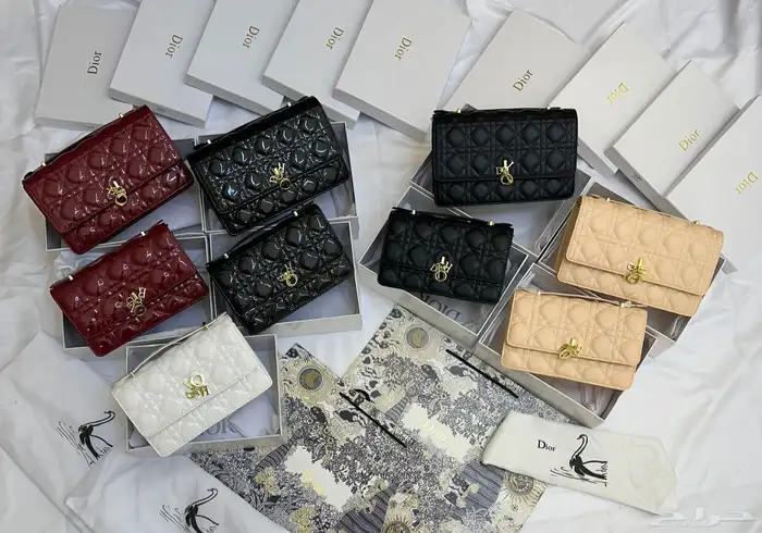 شنط ديور ماستر كوالتي حجمين 1