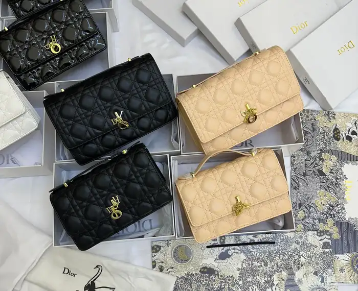 شنط ديور ماستر كوالتي حجمين 2