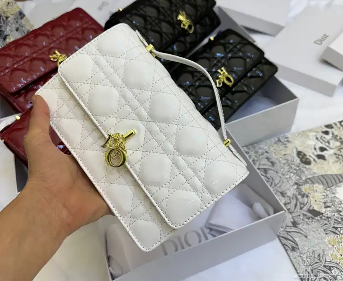 شنط ديور ماستر كوالتي حجمين 12