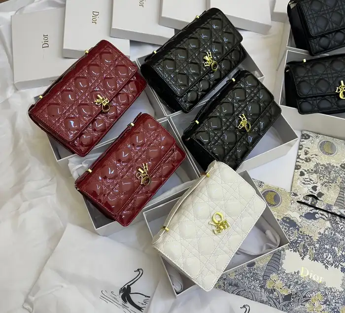 شنط ديور ماستر كوالتي حجمين 3