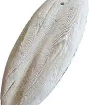 عظم حبار كالسيوم 0