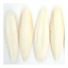 عظم حبار كالسيوم 3