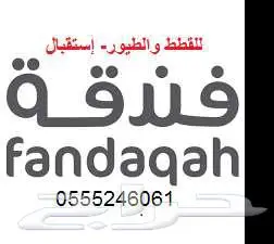 فندقة قطط وطيور وقت اجازتكم 6061 24 0555 حي المصيف 0