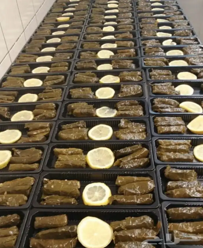 ورق عنب شغل فرش وطعم مميز حامض وسبايسي 3